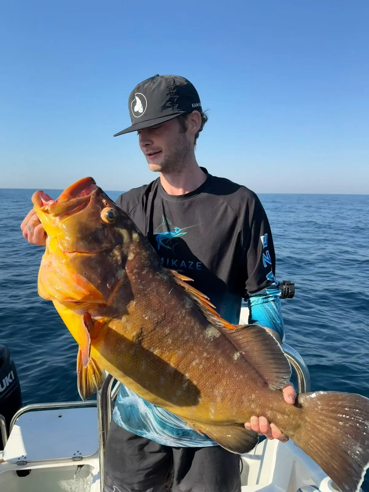 Kob / Rockcod