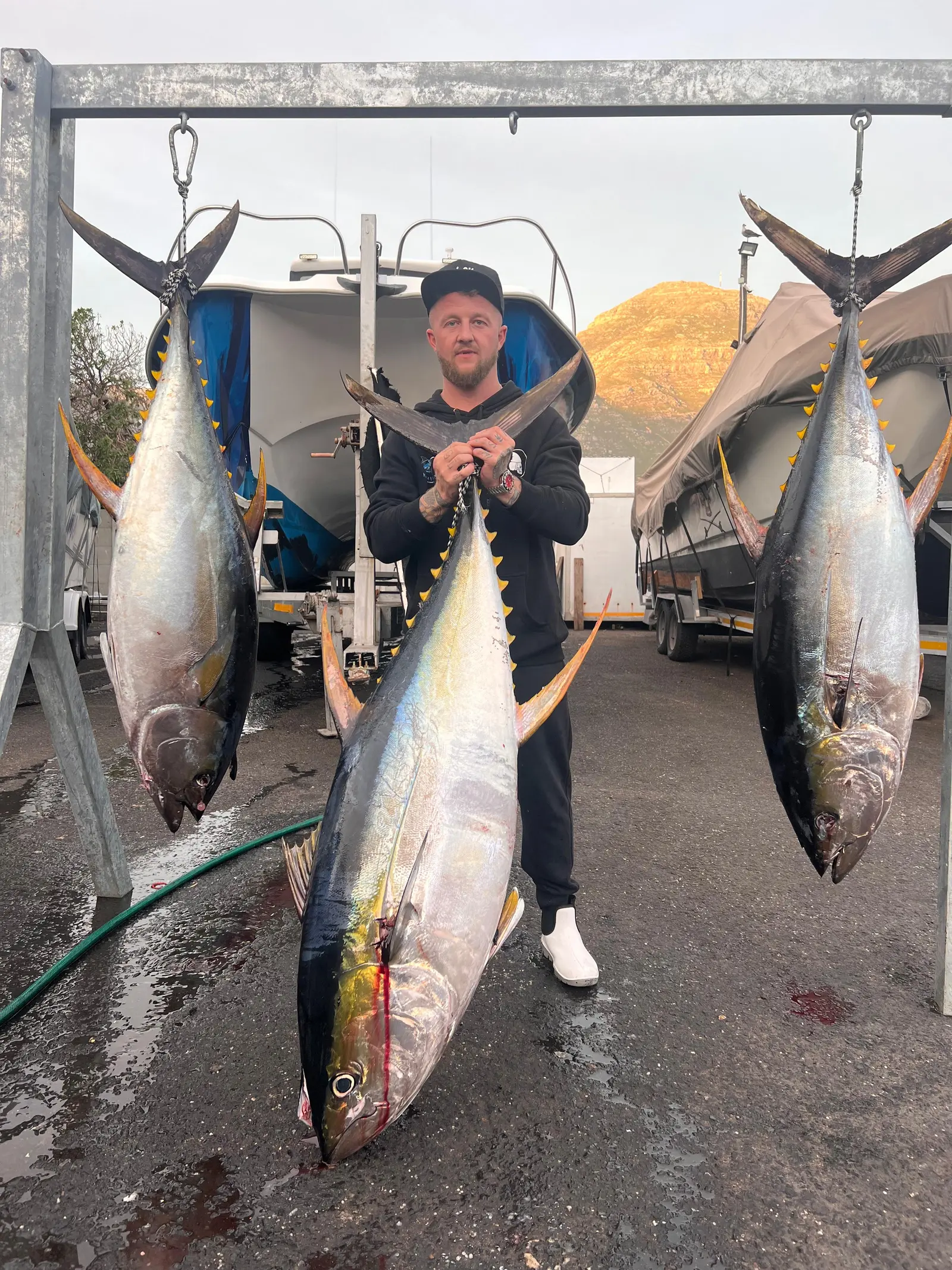 Yellowfin Tuna