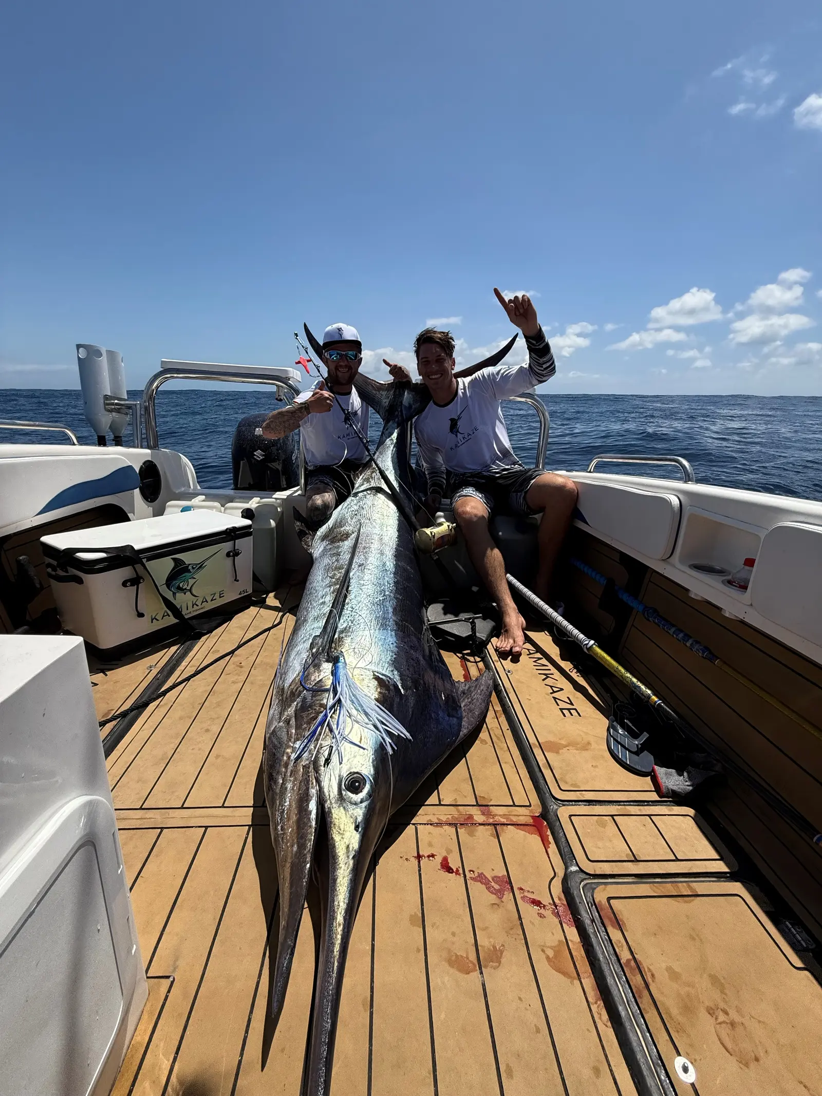Blue & Black Marlin
