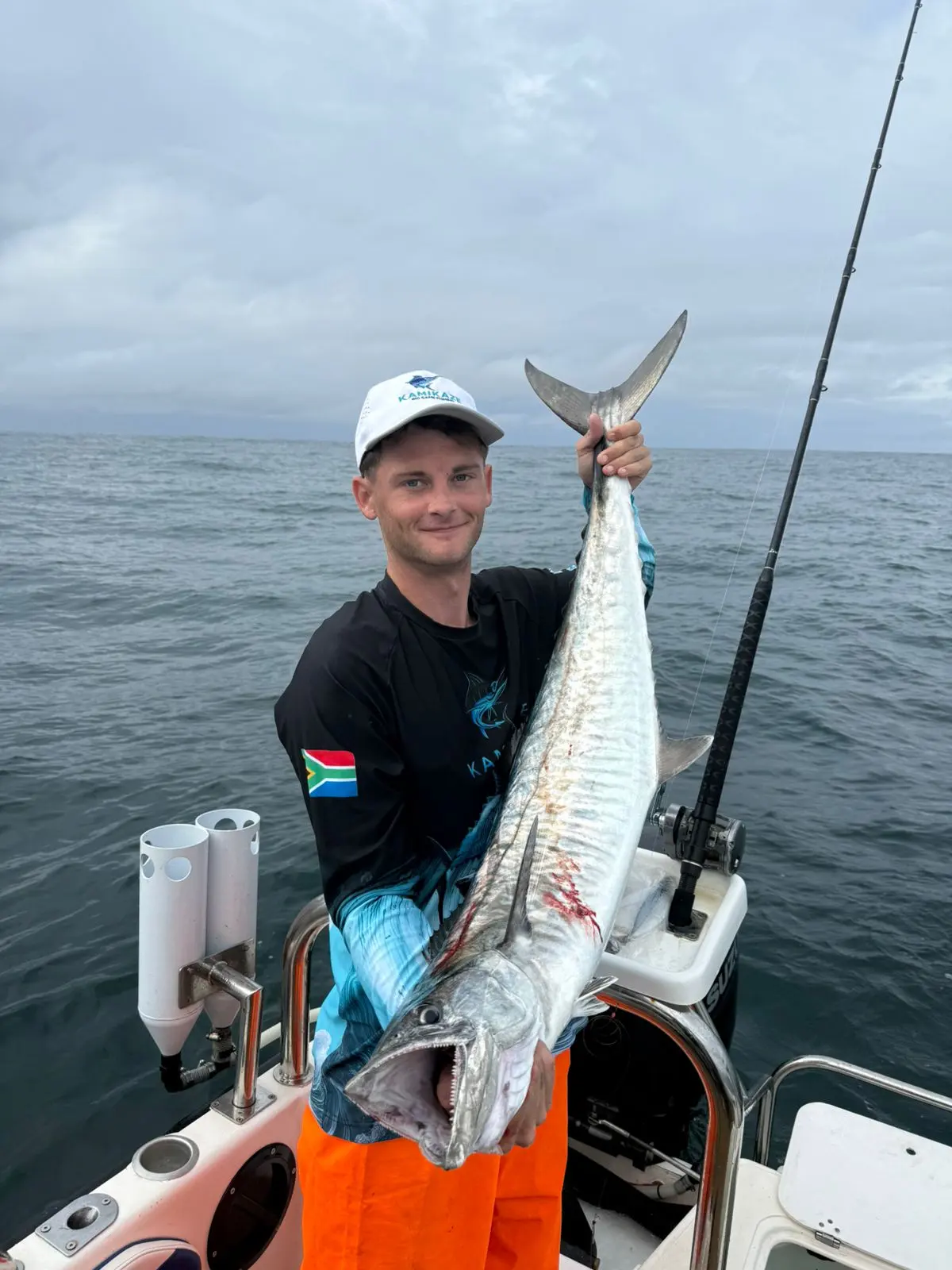 Couta / King Mackerel